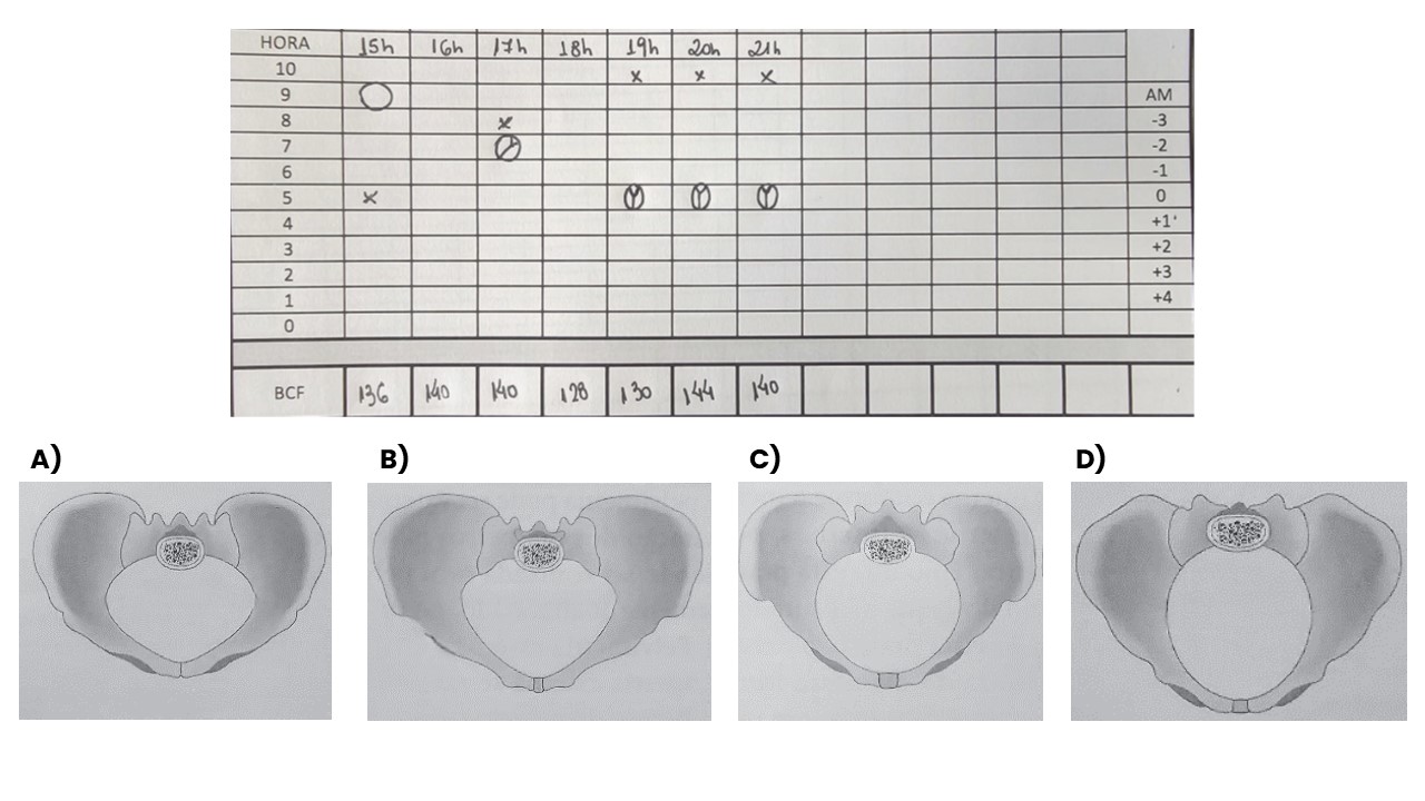 Imagem da questão 1
