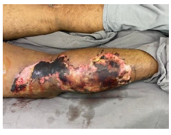 Imagem da questão 1